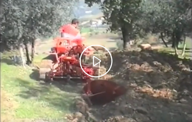 video aratri biagioli